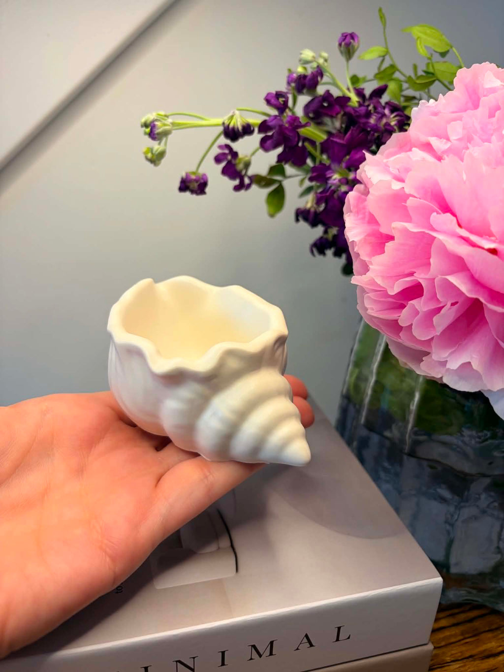 The Sea Shell Trinket