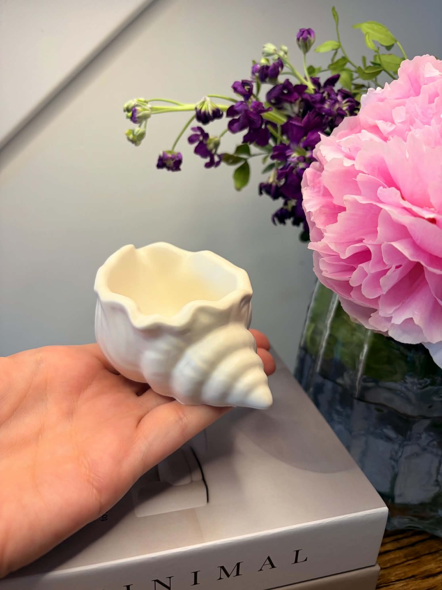 The Sea Shell Trinket