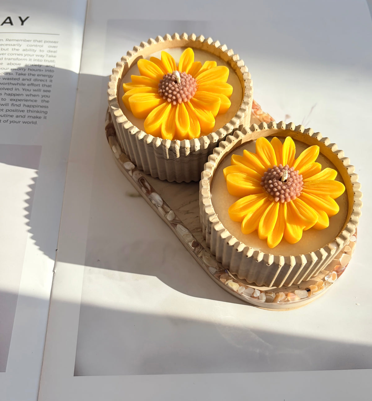 The Yellow Sunflower