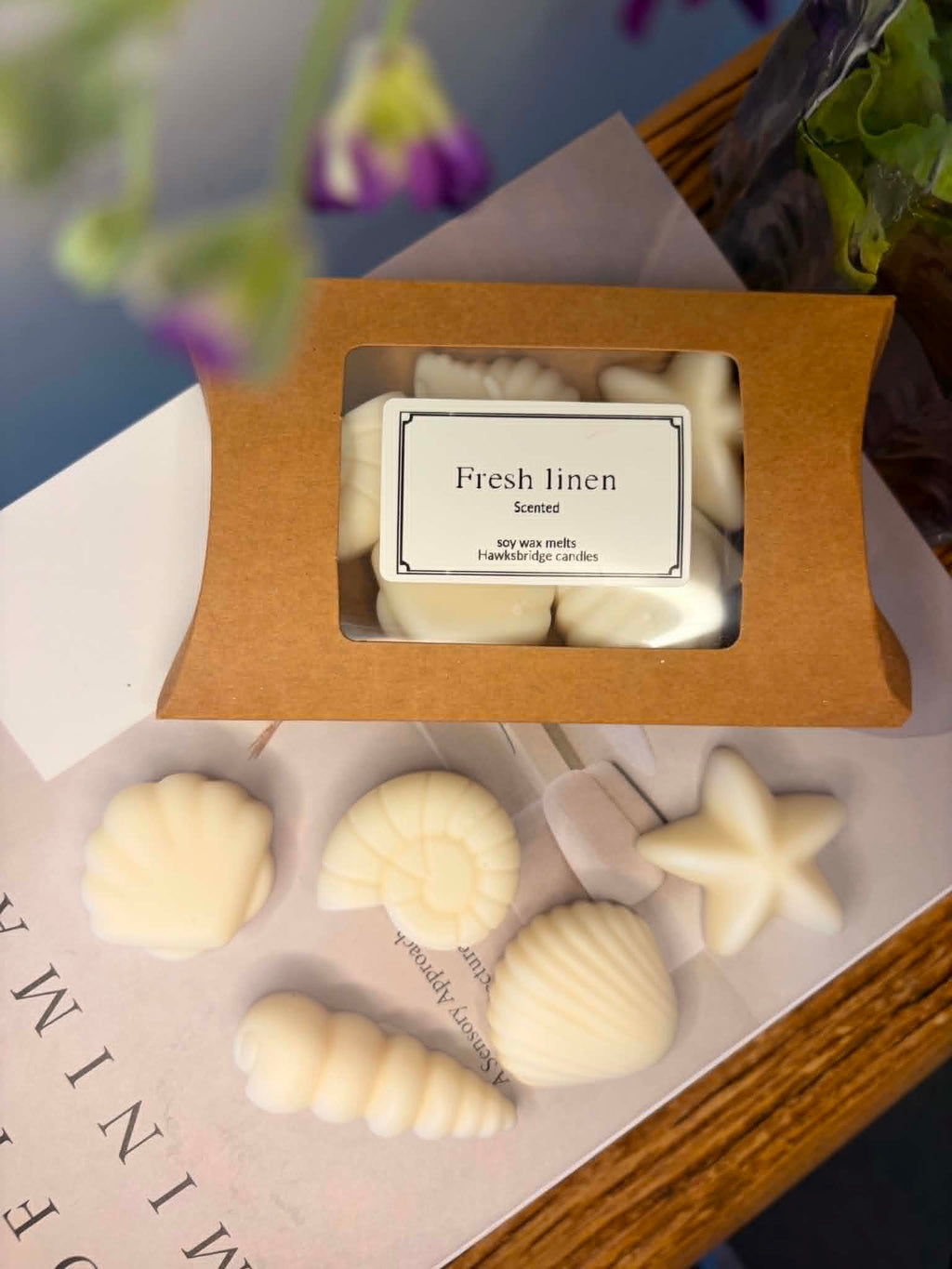 5 Natural Soy Coastal Shell Wax Melts