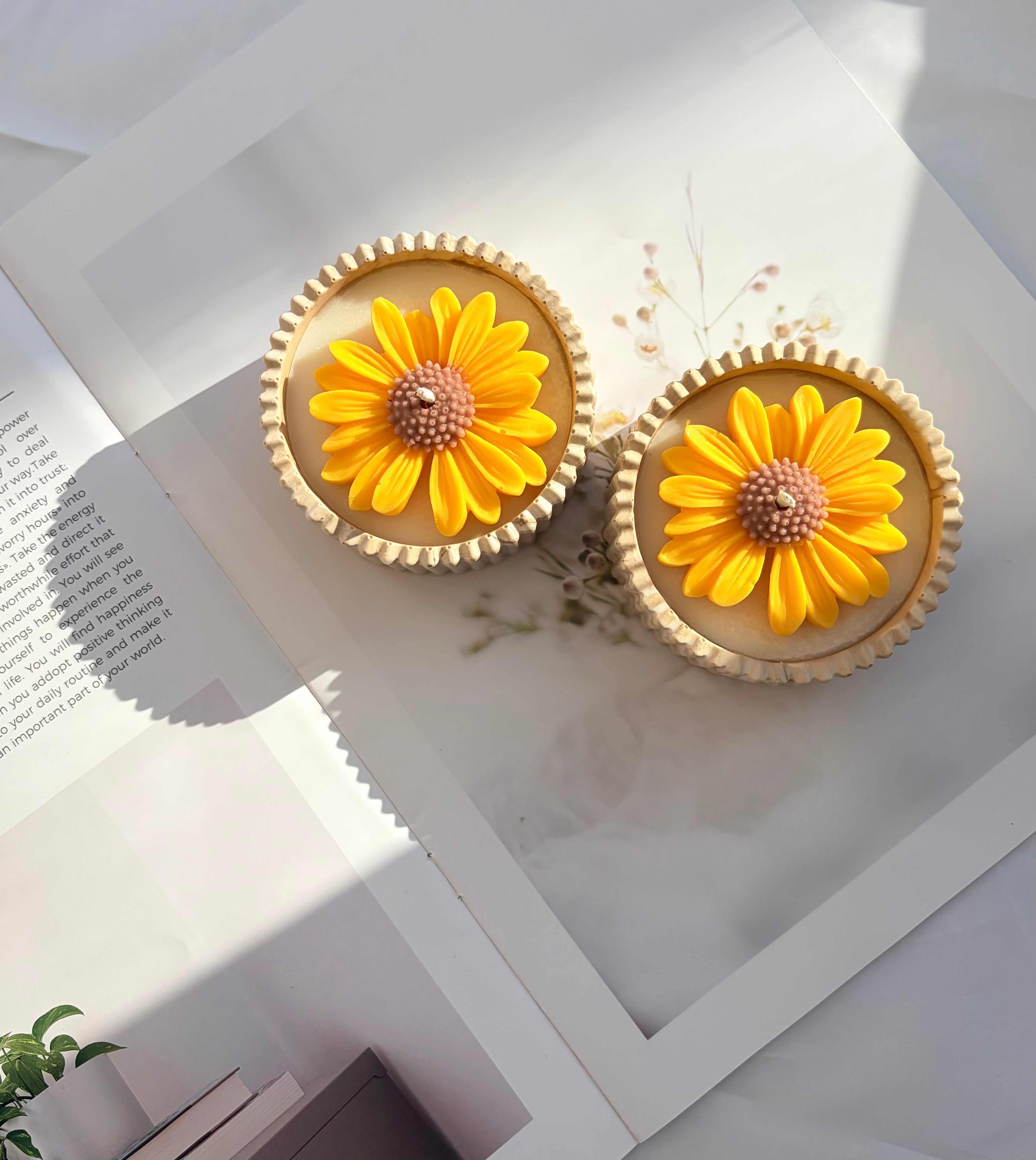 The Yellow Sunflower