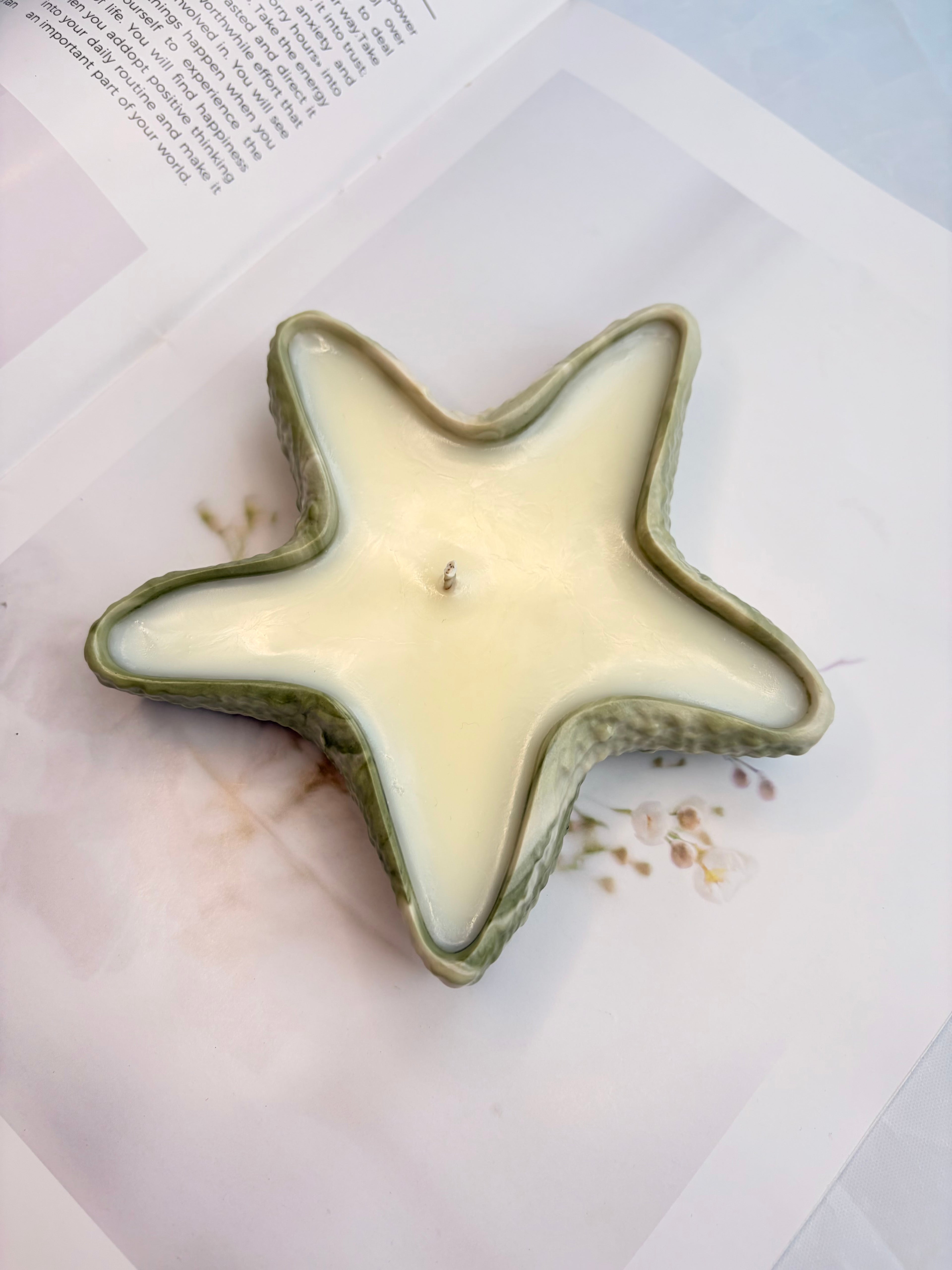 The Sage Starfish