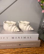 The Seashell Candle