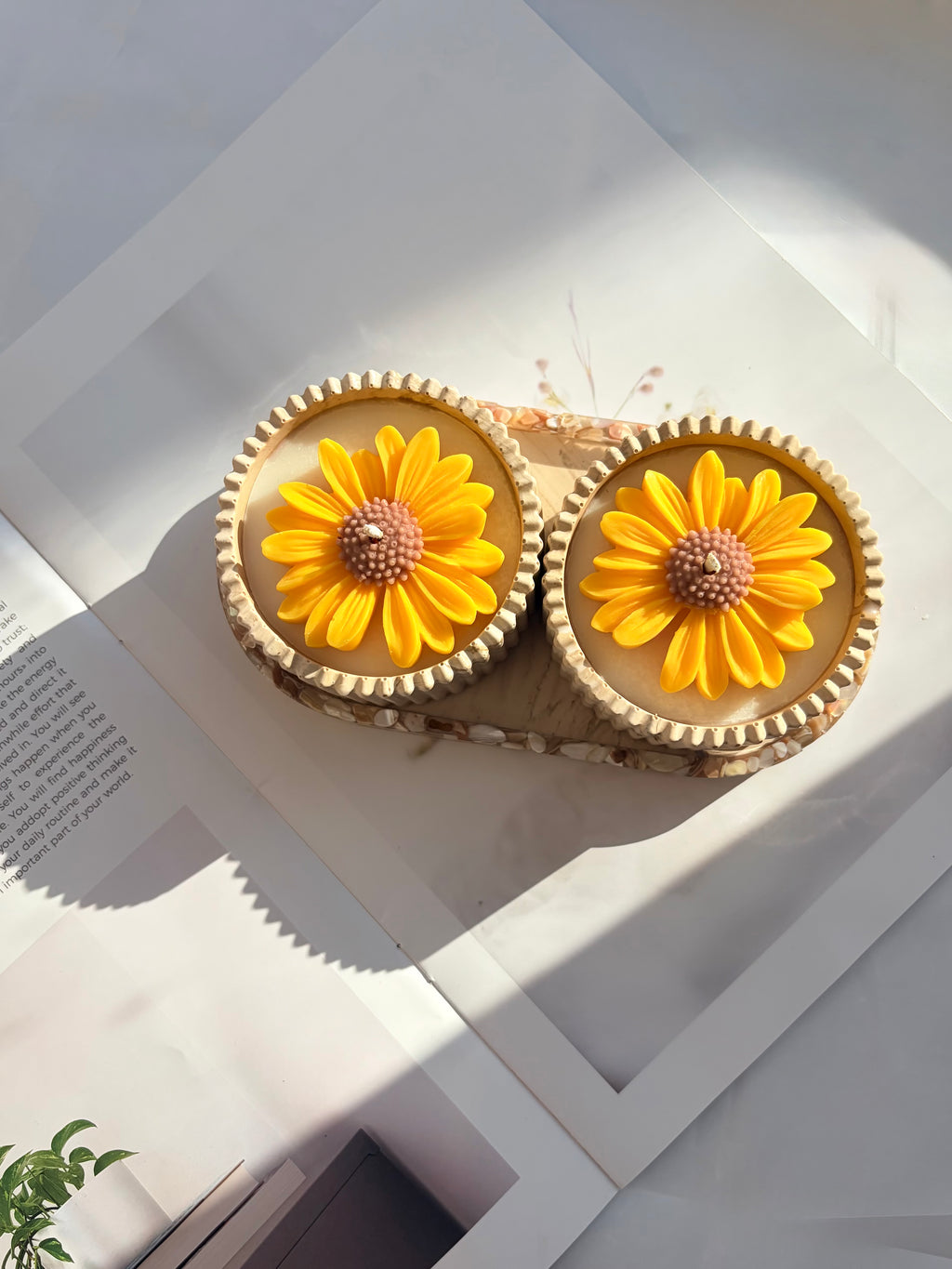 The Yellow Sunflower