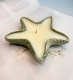 The Sage Starfish