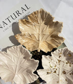 Maple Leaf Tray