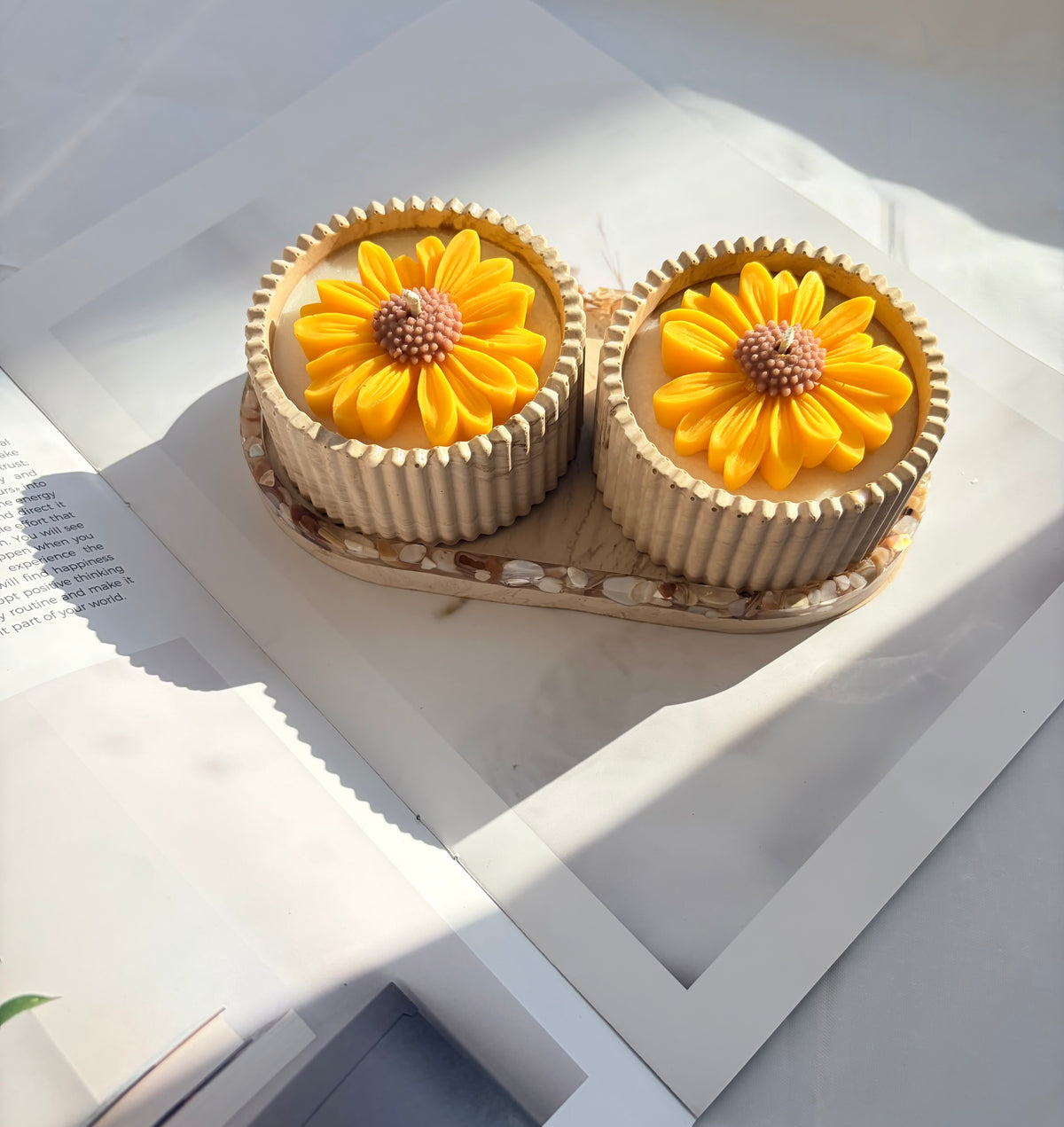 The Yellow Sunflower