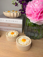 The Daisy Candles