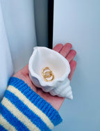 The Sea Shell Trinket