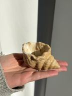 The Sea Shell Trinket