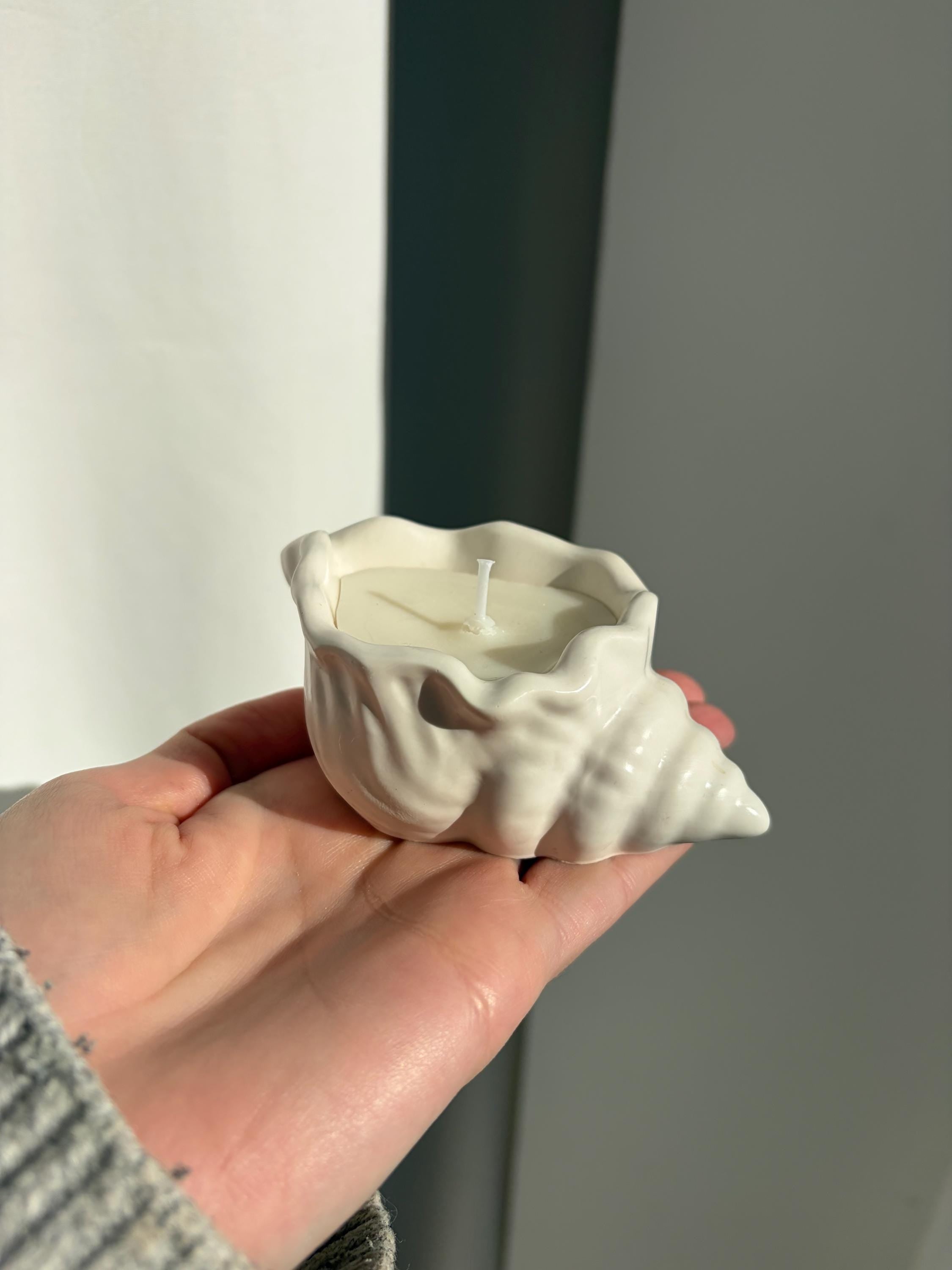 The Seashell Candle