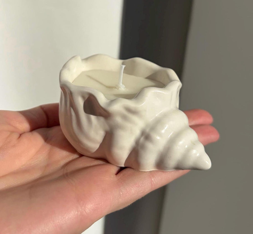 The Seashell Candle