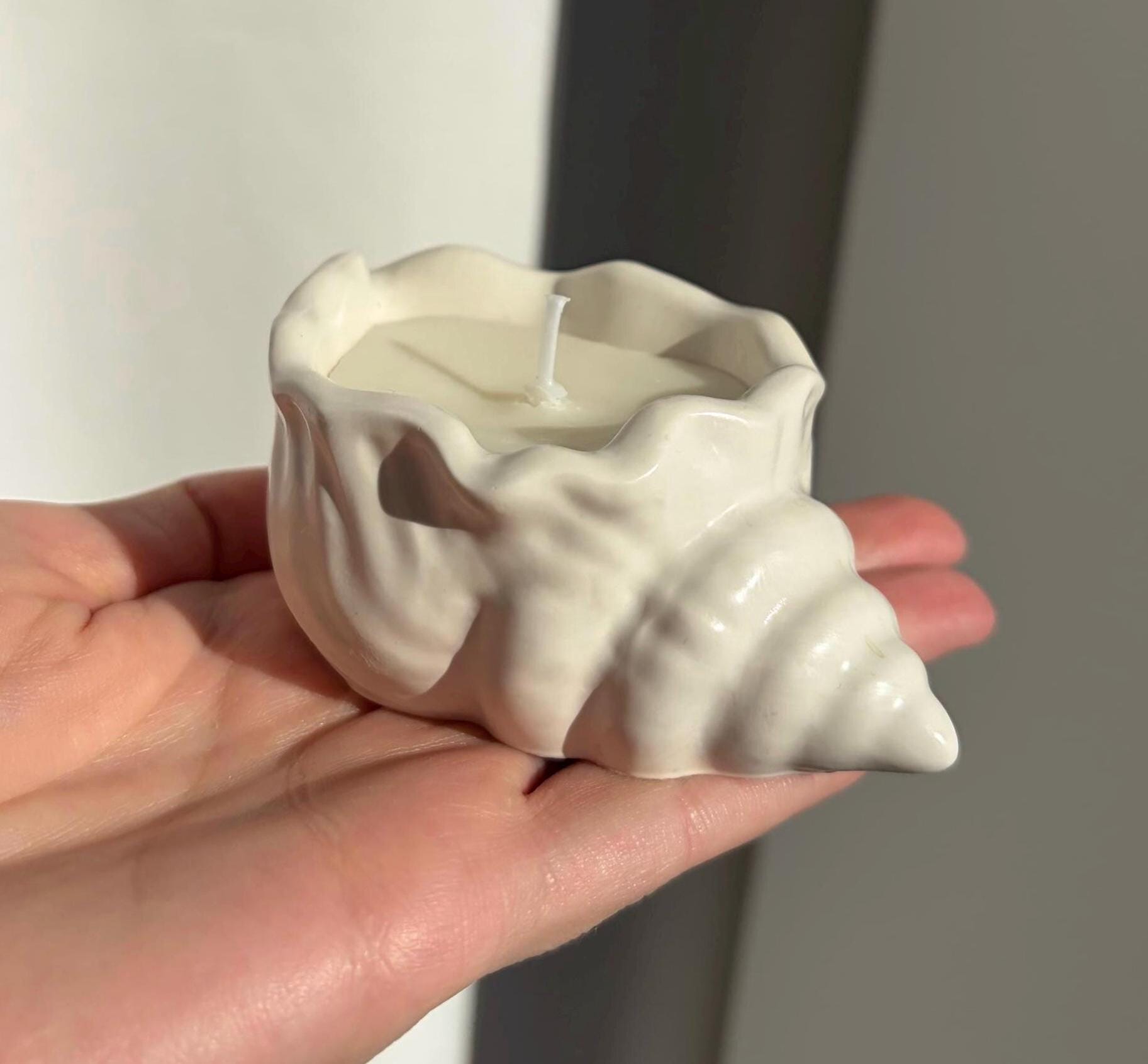 The Seashell Candle