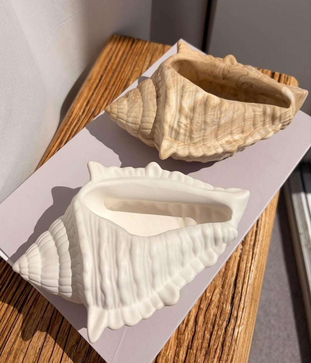The Conch Shell