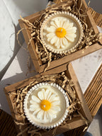 The Daisy Candles
