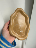 The Cloud Tray