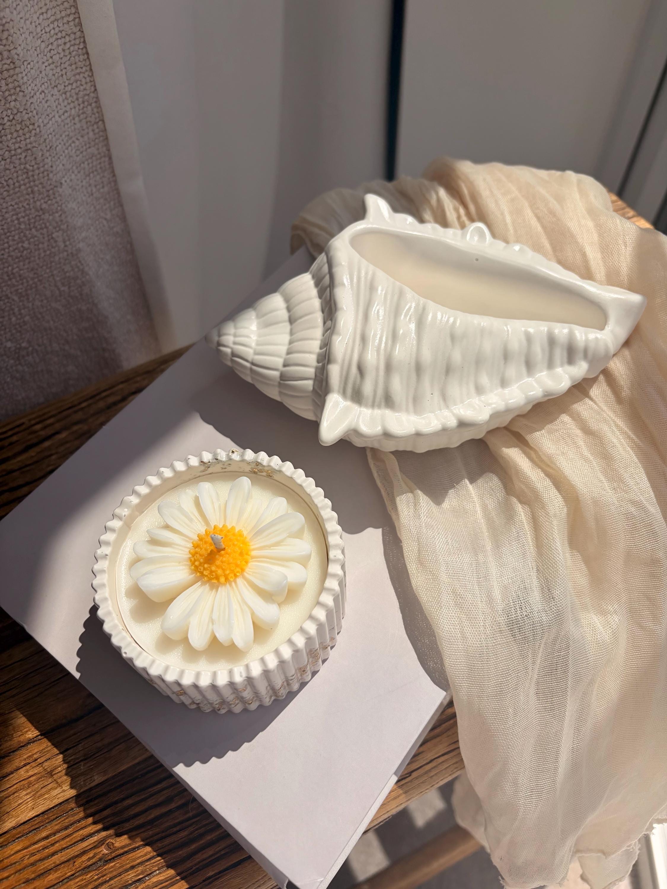 The Conch Shell