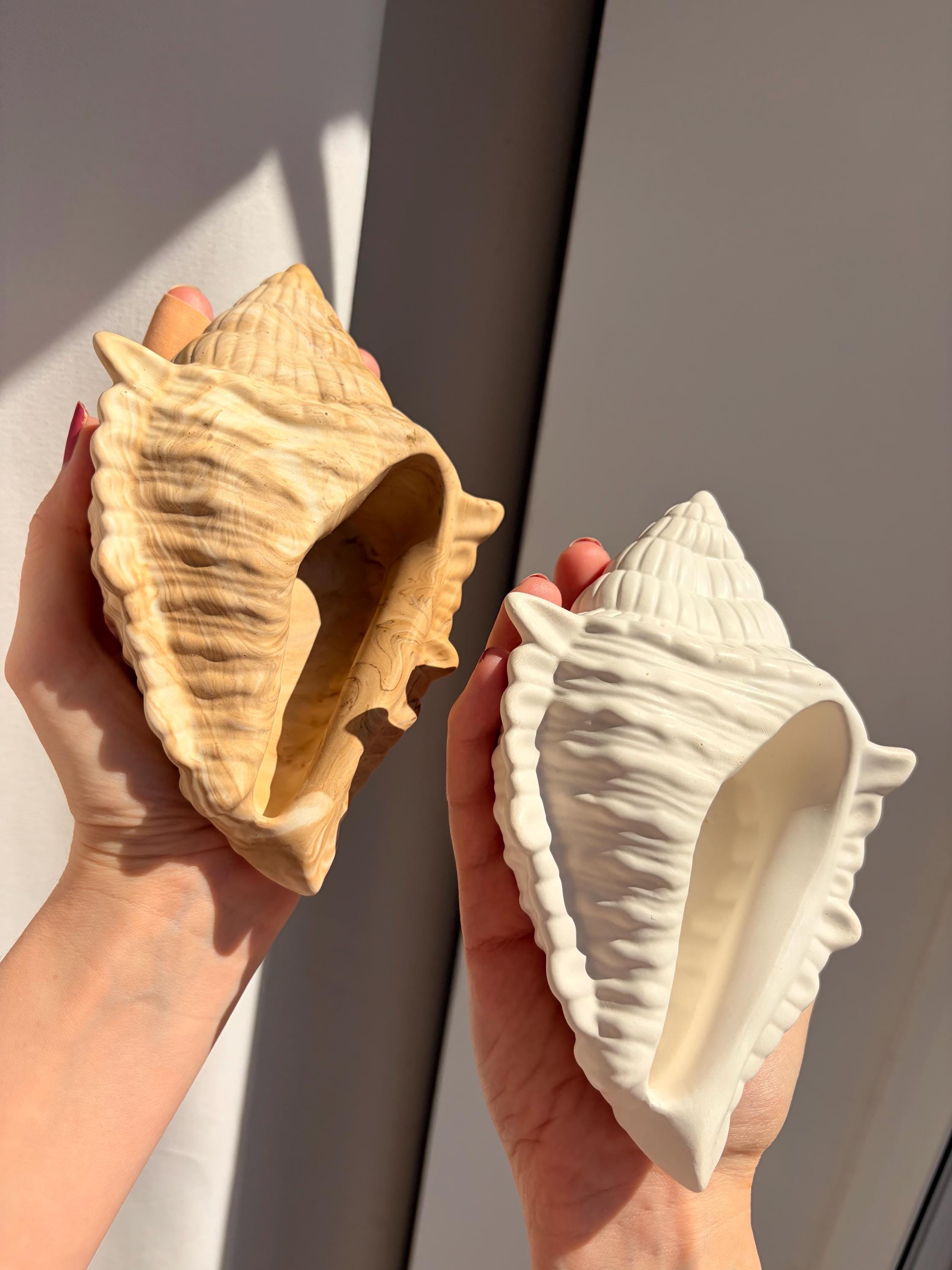 The Conch Shell