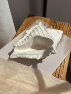 The Conch Shell