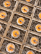 The Sunflower Candles